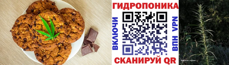 ОМГ ОМГ как зайти Курчалой Печенье с ТГК марихуана купить цена