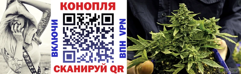 Канабис SATIVA & INDICA как найти закладки Курчалой